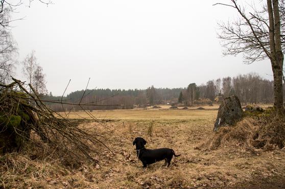Bilder: