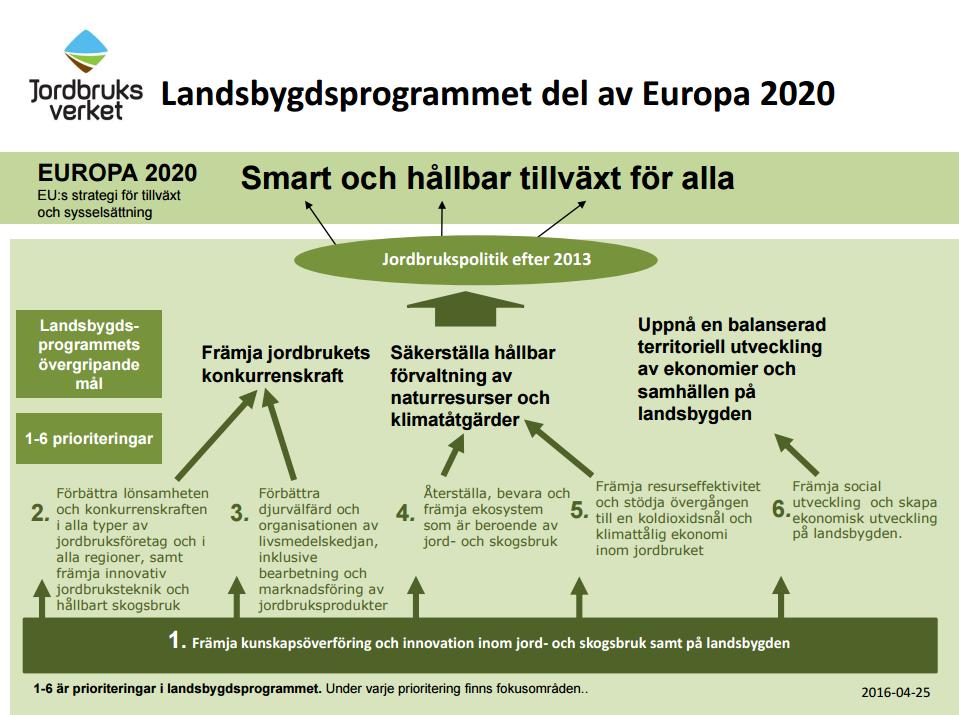 Figur 1 Bild över koppling mellan Europa 2020 målet