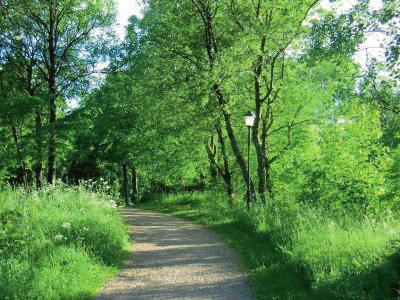 MÖSSEBERGSGÅRDENS SOMMARPROGRAM 2017