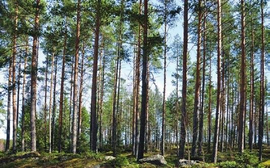 Våra produkter är anpassade efter Norsk och Svensk standard enligt Vilma Bas och Nobb. Vi har även produkter i Byggvarubedömningen och Sunda Hus.