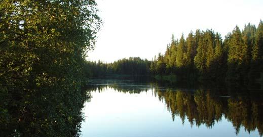 Metodik Hofors-Garpenberg 2005, Sv. Naturförvaltning AB Metoden är ganska enkel att arbeta med och kräver ingen avancerad utrustning.