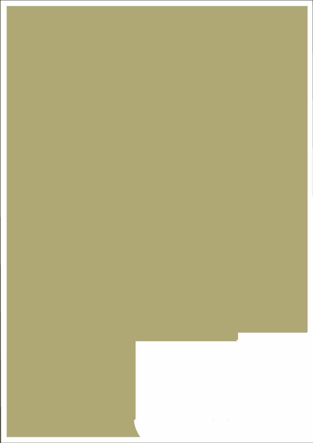 Electrolux Professional