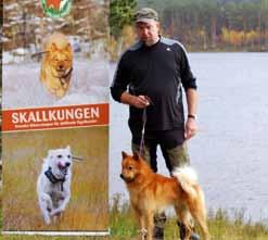 Uppfödare: Tomas Salander (Predator s) Lokalklubb: SSF Sydsverige
