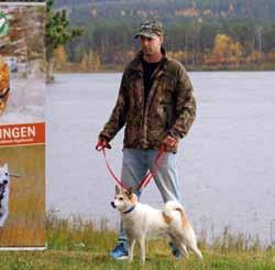 Skarnäbbens Nea Reg nr/titel: SE37147/2012 SEJCH, FIJCH Ägare: Mattias Åkerstedt
