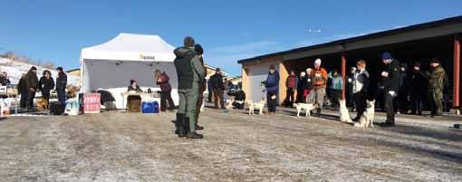 SSF Gävleborg Riksutställning 2018 GÄVLEBORG Vi kommer att flytta vår årliga utställning i februari till april, eftersom vi arrangerar Riksutställningen 2018.