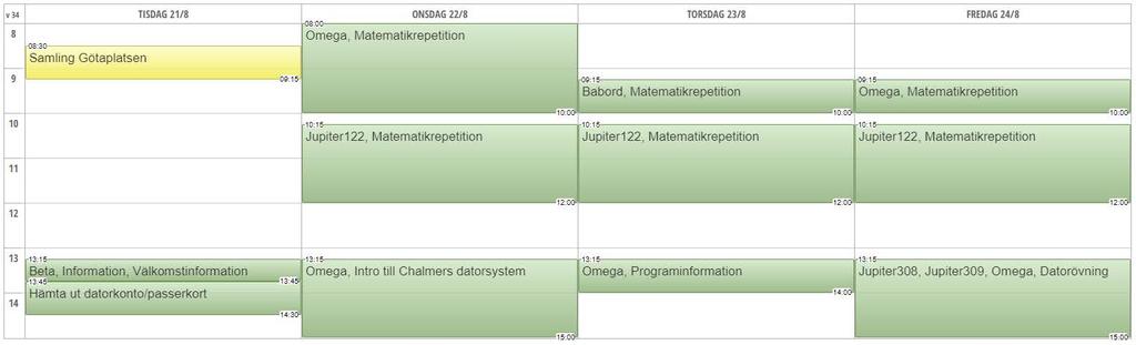 DATAINGENJÖR Schema för