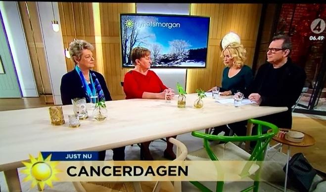 Världscancerdagen 2016 Att synas i media och skapa debatt med NMC:s budskap är en viktig strategi. Uppdraget att nå ut publikt under Världscancerdagen gick till RMP - redaktion, media & PR.