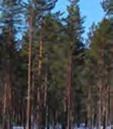 huvudsakliga