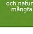 omfattning och placering.