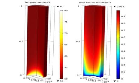 Tillämpade transportprocesser (forts.) Project 1 TP in Packed beds Student solutions Content Packed bed experiments Diffusion estimation Case 1 Case studies: 1.