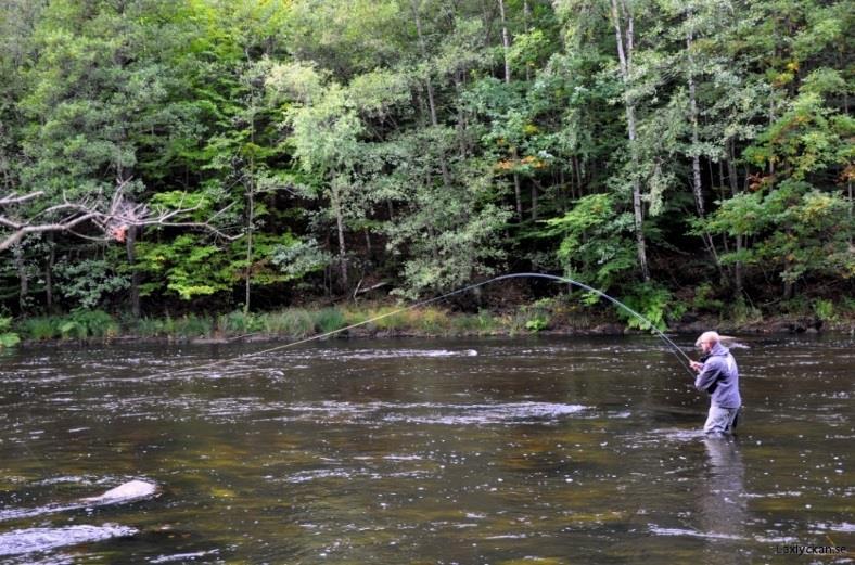 Ditt fiskekort gäller hela dagen och dessutom för fiskesträckorna Vittskövle och Knaggelid om du vill prova fler fiskeplatser. Vill du övernatta till söndagen och kanske fiska ytterligare en dag?