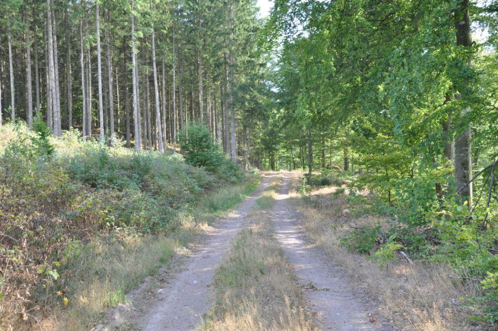 Kristianstad Arkelstorp 1:1 Kristianstad Arkelstorp 1:1 Om fastigheten Typ: Skogsfastighet Boarea: ej bebyggd Mark: Ca 102 ha Antal rum: - Pris: 15 MSEK/bud Län: Skåne Kommun: