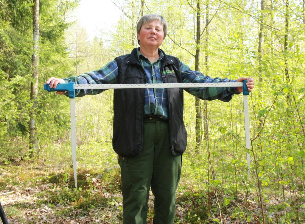 Rekommenderades att plantera gran Strax intill gården har Cecilia några ekar som hon vårdar särskilt ömt. De är uppkallade efter hennes egna föräldrar.