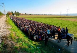 Människosyn Samhällsbygge med människor och inte för människor Ompröva sambanden mellan mänskliga rättigheter medborgarskap och demokrati Kraven på ett aktivt medborgarskap ökar