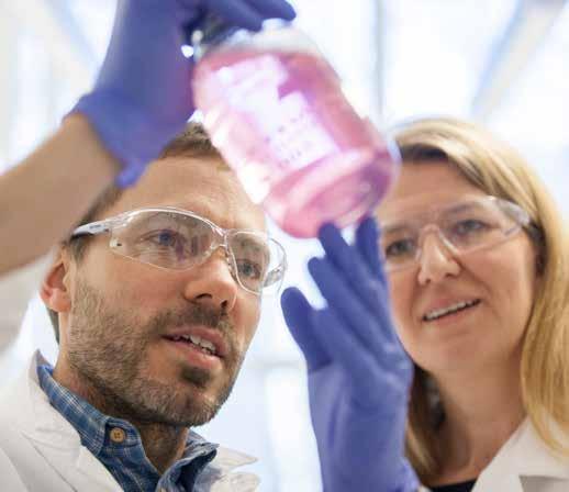 VERKSAMHETSBESKRIVNING utveckling av läkemedelskandidater för utlicensiering Sprint Bioscience är ett läkemedelsbolag som utvecklar läkemedel inom området cancer och diabetes med fokus på