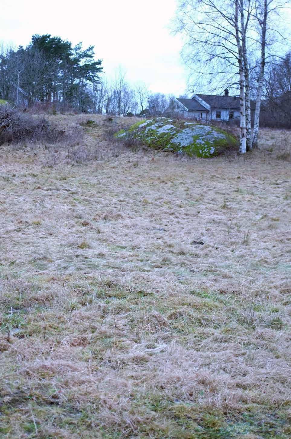 Ellene 2:38, Sotenäs kommun, Västra Götalands län Arkeologisk utredning samt