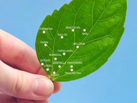 Projekt & verksamheter finansierade av tillväxtmedel 2017 Driva offensiva insatser för att etablera nya arbetsplatser i Västra Götaland (4.2.4).