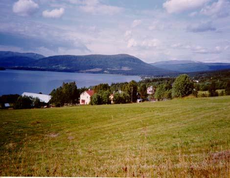 Landskapstyperna i kommunens olika delar samt en beskrivning av tänkbar påverkan vid en etablering av vindkraft. I grova drag kan kommunen delas in i tre olika landskapstyper.