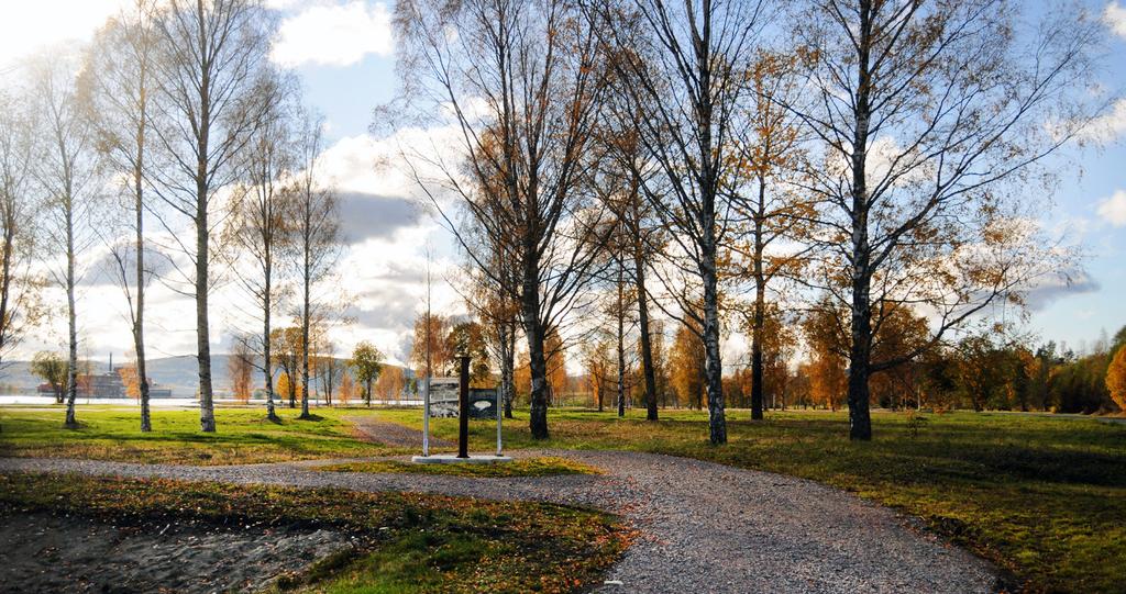 Riktlinjer Skogsbruk inom grönområden i kommunal ägo ska bedrivas i enlighet med kommunfullmäktiges antagna Mål för skogsskötsel och naturvård inom Timrå kommun.