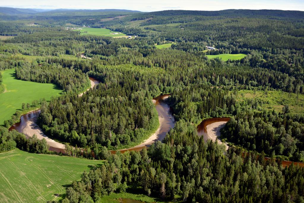 vare sig jord- eller skogsbruk.