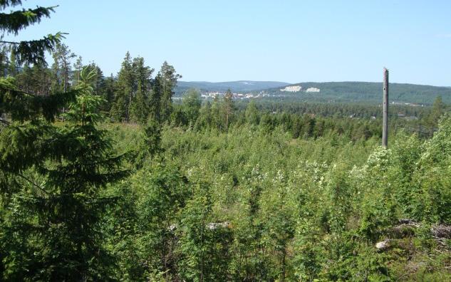 Även tillräckliga avstånd till befintlig kraftledning måste beaktas. Kan inrymma cirka 6-8 småhus eller 3-4 flerbostadshus. Huvuddelen av markområdet ägs av SCA.