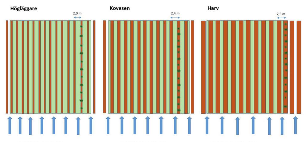 Högläggare Kovesen Harv 2,0 m 2,4 m 2,5 m 14 rader med 11 plantor 12 rader med 14 plantor 12 rader med 14 plantor Figur 1.