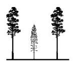Utgångspunkter för Naturkultur 1 En optimerad lönsamhet i skogsbruket kräver att man utgår från enskilda träds förutsättningar för att kunna generera mycket volym av hög kvalité.