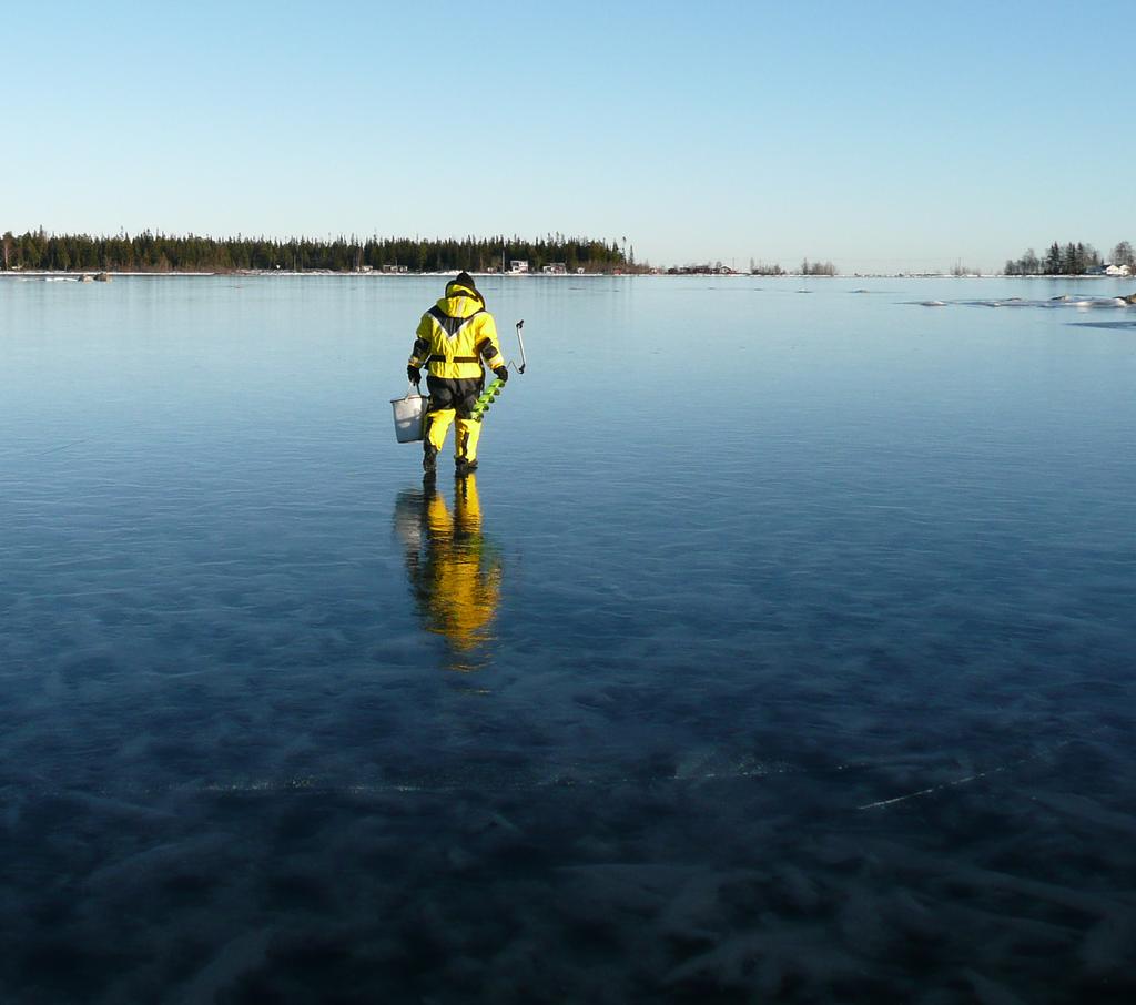 Gilla fiske. Grundkurs för dig som vill ha kul utomhus.