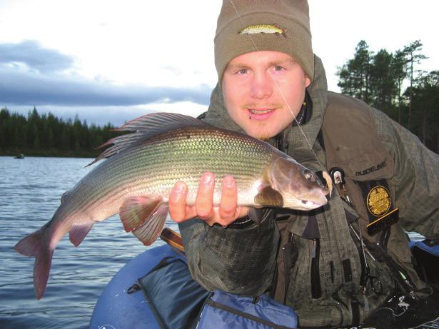 1. På kroken Illustration: Thommy Gustavsson Harr. ryggfena som ett segel och vänner vid sin sida. Harren är en mycket vacker fisk.