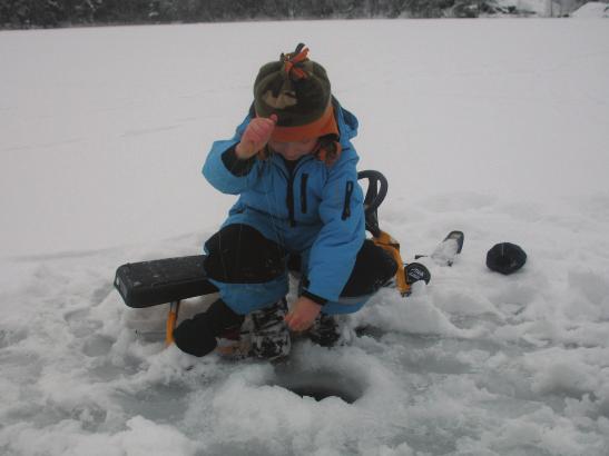 1. På kroken sik. silver från havet, en fisk att kika närmare på. Siken har silverfärgade fjäll, gråa fenor och fettfena. Den tillhör familjen laxfiskar.