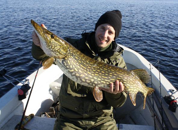 Olika rulltyper för spinnfiske är haspelrulle, kapselrulle och multiplikatorrulle. Vanliga beten för spinnfiske är wobblers, skeddrag, spinnare eller jiggar av gummi.