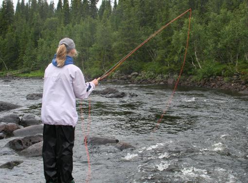 Dessa saknar eget rörelsemönster och styrs genom att ryckvis röra spötoppen och göra pauser under invevningen.