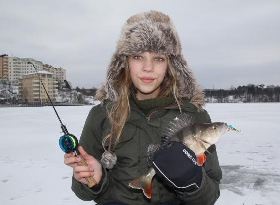 3. Fiskemetoder & utrustning Några vanliga fiskemetoder för vinterfiske. Pimpelfiske. Bra fiskemetod på vinter genom isen eller sommartid från båt. Pimpelspön finns i olika utförande och storlek.