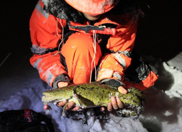 Fisket är populärt i havet och i fjällen där det i regel är klart vatten. Släpp ner lite krossat äggskal i hålet och lägg en jacka eller filt över huvudet så ser du botten bättre.