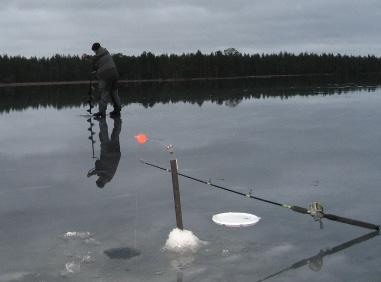 Det är då du bör fiska. Vikten kan uppgå till flera kilo, använd därför ett grövre pimpelspö och kraftigare nylonlina.