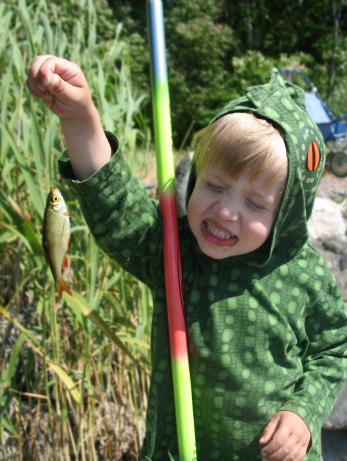 4. Fiske på djupet Fisketermer och uttryck. Fiskstam eller fiskbestånd. Fisk av samma art som lever lokalt i samma vatten. Nästan som en stor familj eller släkt. Lek eller fisklek.