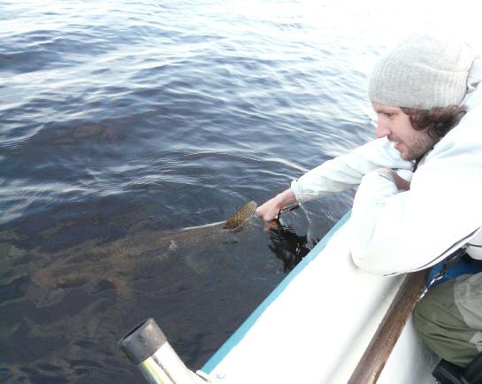 5. Fiskevett Fiskevett. Fiske är en rolig och spännande aktivitet som de flesta kan göra och tycker är roligt.