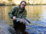 Fiskar har slemhinnor på sina fjäll och är känsliga för beröring, försök därför att röra fisken så lite som möjligt. Använd helst en håv med skonsamt nät. Blöt dina händer innan du tar i fisken.