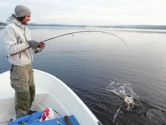 1. På kroken gädda. sjöarnas lejon, den största av våra rovfiskar. Gäddan är vår största och mest populära rovfisk. Den lever i de flesta av våra vatten, även i havet längs kusten.