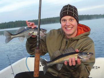 Gösens ljuskänsliga ögon ger den ett övertag på sina byten eftersom den jagar då ljuset är svagt. Den förföljer bytet och nafsar för att skada. De vassa huggtänderna lämnar vampyrliknande bitmärken.