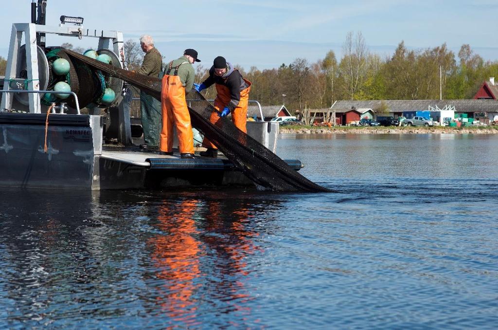 Reduktionsfiske i Ringsjön 2005-2017 Fiskbeståndens utveckling och riktlinjer för