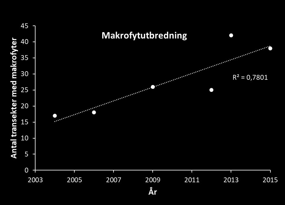 Figur 2. Medelsiktdjupet i Ringsjöarna (juni-september). Reduktionsfisket statade år 2005. Figur 3.