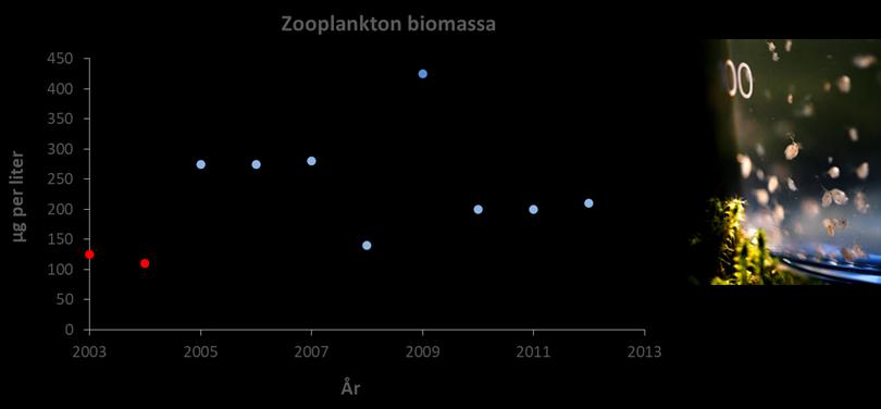 Ringsjöarna (2004-2015, obs bara vissa år undersökta). Figur 4.