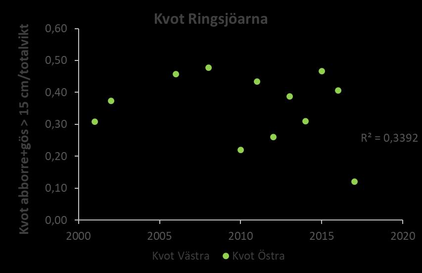 Figur 12. Beräknad kvot av biomassan av rovfisk i förhållande till biomasan av all fisk som fångats i provfiskenät under perioden 2001-2017, i Västra respektive Östra Ringsjön.