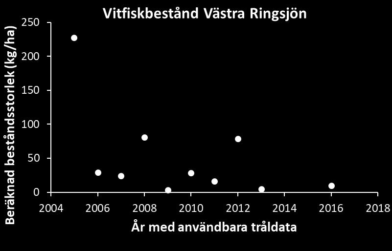 (huvudsakligen fiskedata på våren) i Västra Ringsjön där fisket hade effekt och beräknat hur stor del som fanns kvar utifrån fångsterna under 2005.