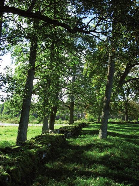 En lite märklig företeelse utgör dock den långsmala fördjupning som påträffas på kyrkogårdens södra del parallellt med kyrkogårdsmuren, vilken närmast skulle kunna liknas vid ett dike.