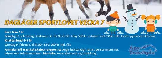 O.M.DREAMSTEP 9, M, AM 53 5,br. v. e Improve Ås - : -- 9,5 5 : --3,a 53 Tot: 3 --3 Spirit N.