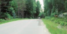 Det bör även förtydligas att stadgeändringar ska beslutas på ett ordinarie årsmöte, samt på ett medlemsmöte som hålls tidigast en månad efter årsmötet