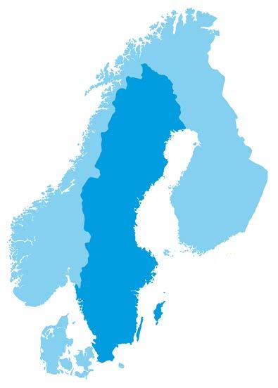 Vad gör Nysam?