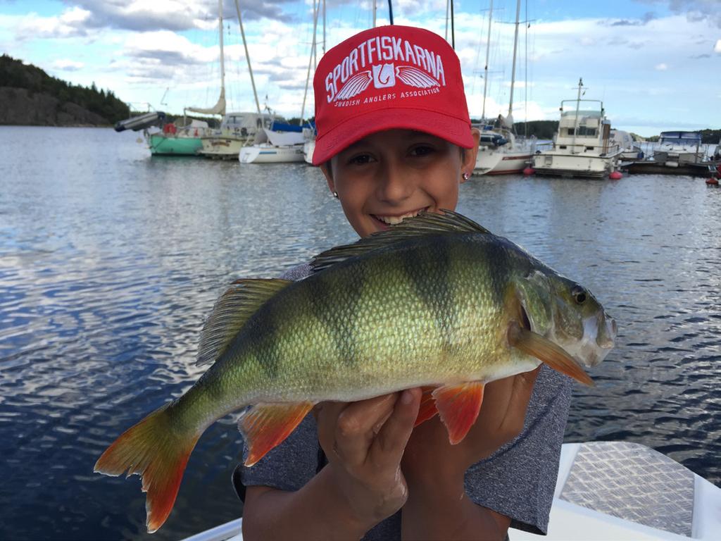 Fiske foto: Victor Sandberg Där har vi möjlighet att vara både inne och ute i den vackra trädgården.